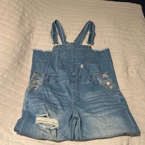 Blue Denim Overalls with Distressed Detail